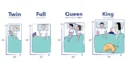 Rest O Pedic (Euro Top)